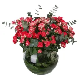 Baby Rose Vase 1